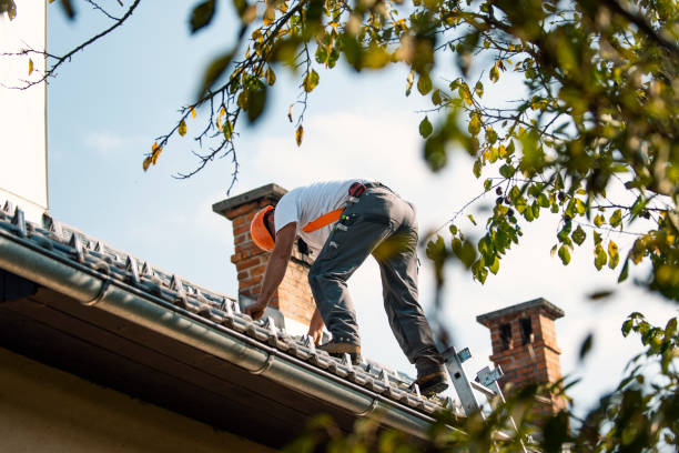 Best Roof Waterproofing Services  in Taft, CA